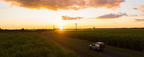 152795-2022_BDB_Bundaberg_DrivingSugarC